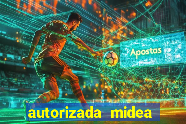 autorizada midea porto alegre