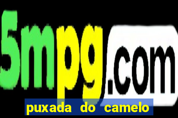 puxada do camelo no jogo do bicho