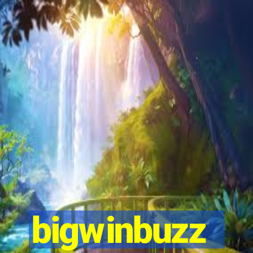 bigwinbuzz