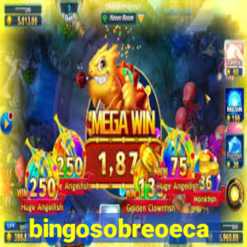 bingosobreoeca