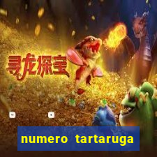 numero tartaruga jogo do bicho