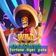 fortune tiger pote de ouro completo