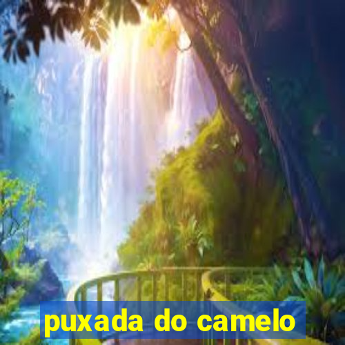 puxada do camelo